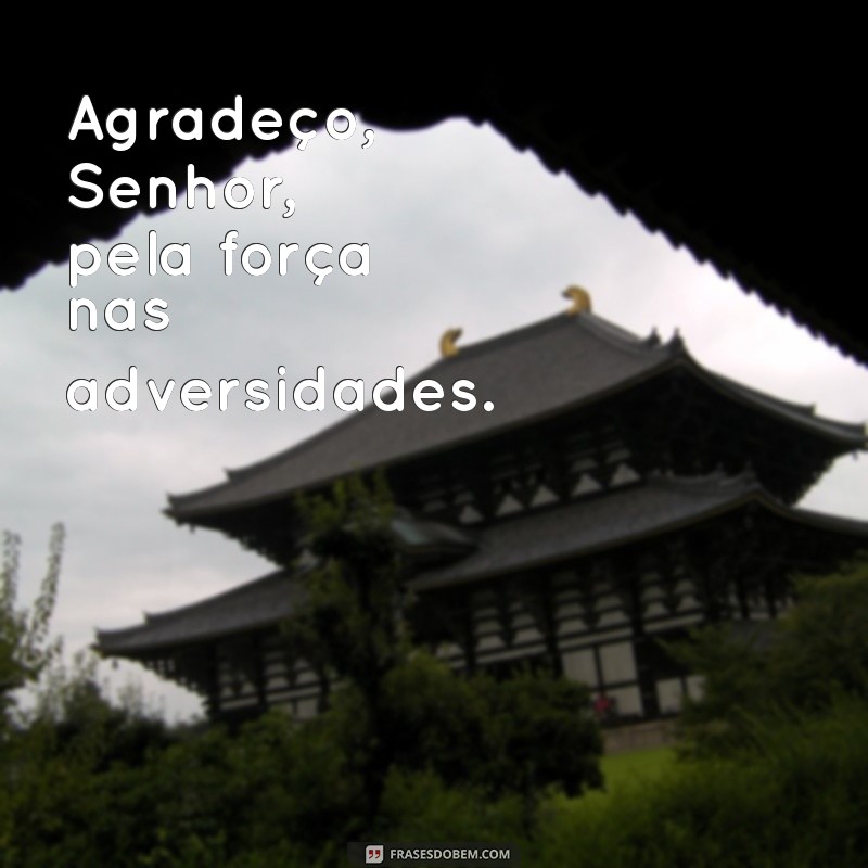 Frases de Gratidão: Agradecendo ao Senhor com Inspiração 