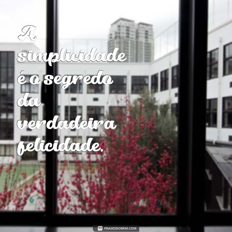 Frases Inspiradoras para Status: Mensagens Bonitas que Encantam 