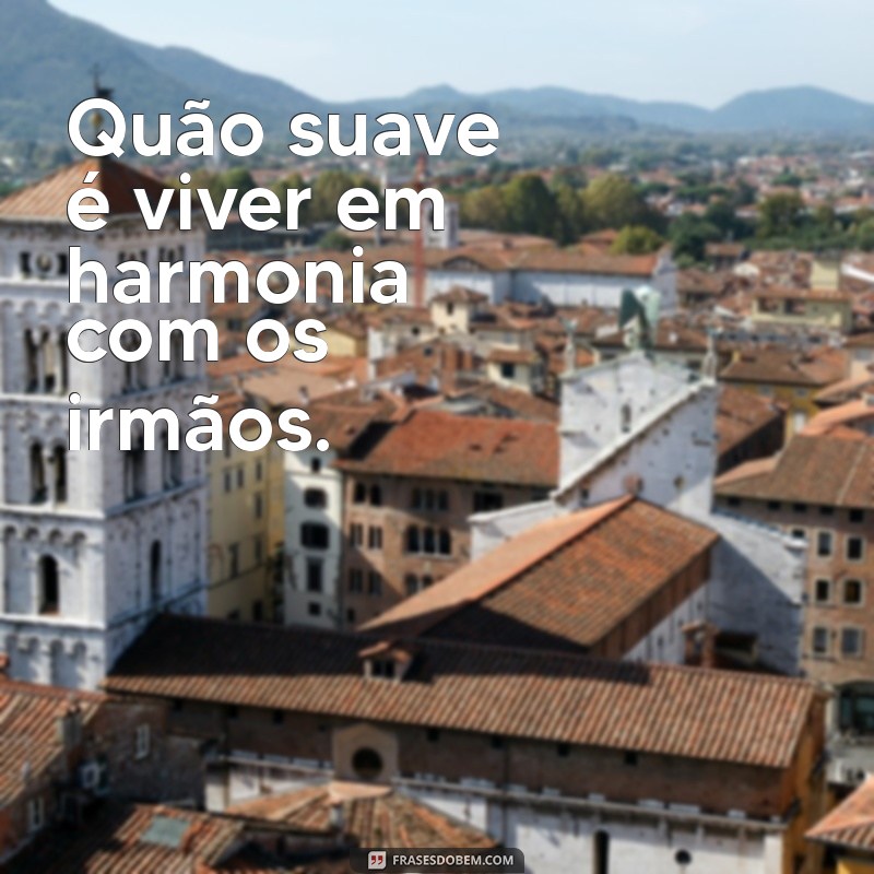 quao suave que os irmaos vivam em uniao Quão suave é viver em harmonia com os irmãos.