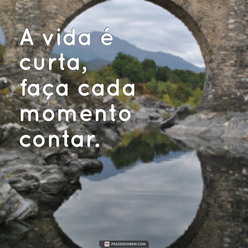 Frases Criativas e Engraçadas para Decorar o Banheiro Feminino 