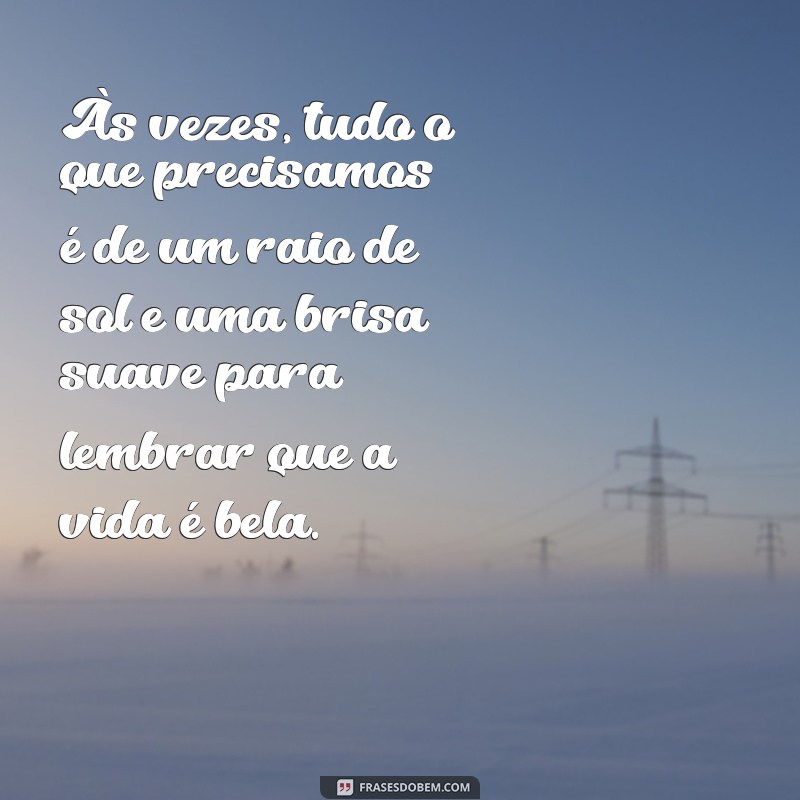 pequenos textos bonitos Às vezes, tudo o que precisamos é de um raio de sol e uma brisa suave para lembrar que a vida é bela.