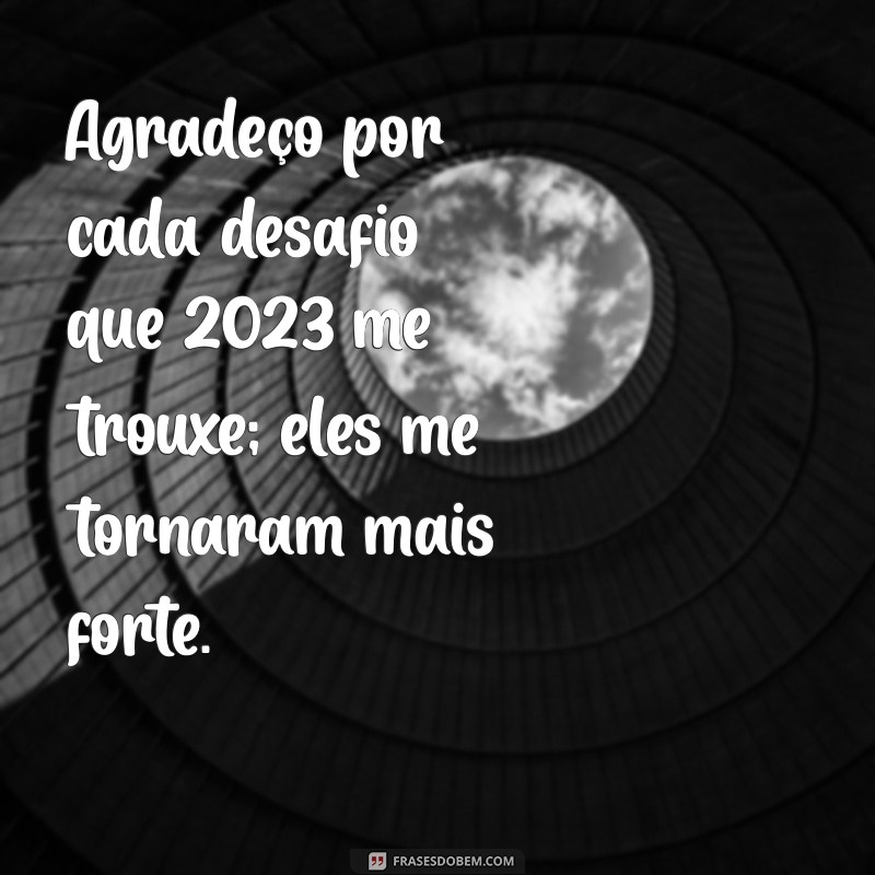 frases de agradecimento pelo ano de 2023 Agradeço por cada desafio que 2023 me trouxe; eles me tornaram mais forte.