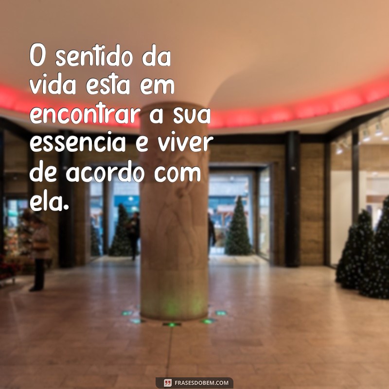 Descubra o verdadeiro significado da vida com essas inspiradoras frases 