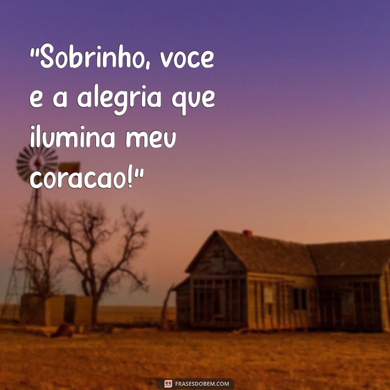 frases de tia para sobrinhos 