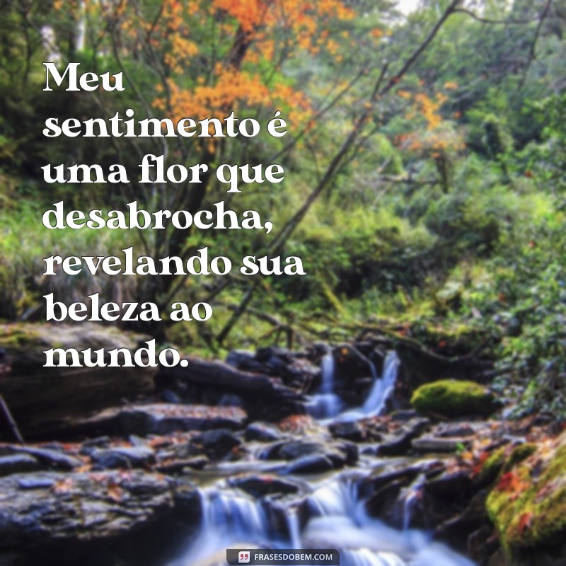 Explorando Meu Sentimento: Reflexões e Inspirações para Entender Emoções 