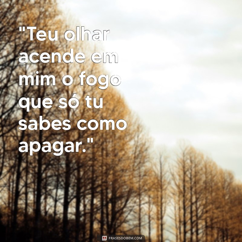 frases apimentadas de amor 