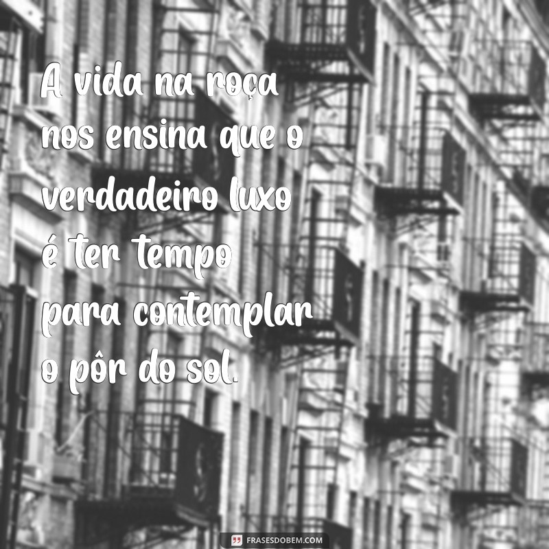 Descubra Frases Inspiradoras sobre a Vida na Roça: Simplicidade e Sabedoria do Campo 