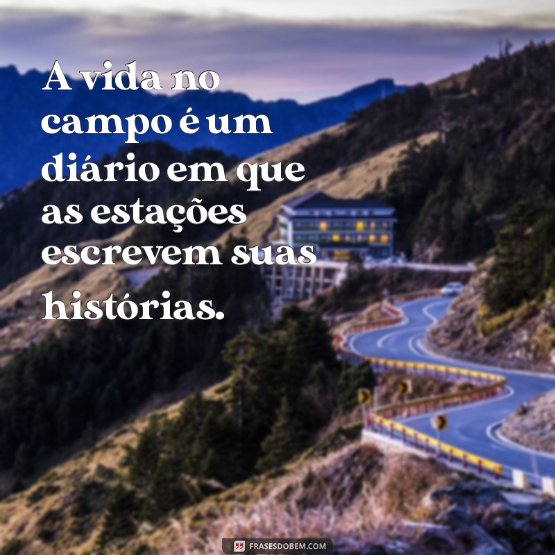 Descubra Frases Inspiradoras sobre a Vida na Roça: Simplicidade e Sabedoria do Campo 