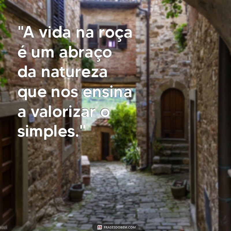 frases sobre vida na roça 