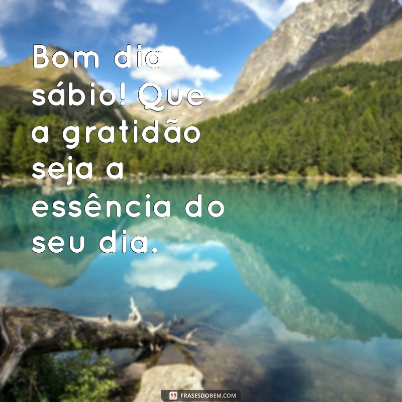 Bom Dia Sábio: Frases Inspiradoras para Começar o Dia com Sabedoria 