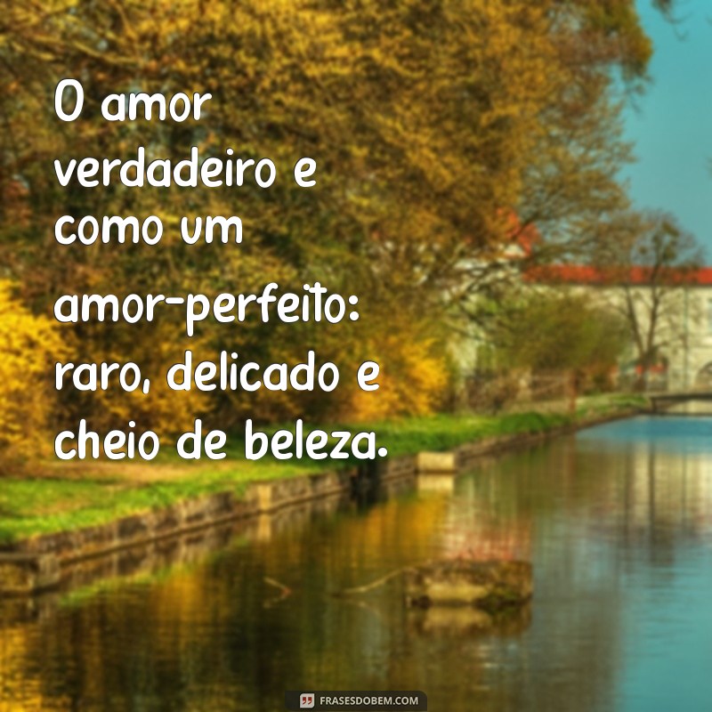 amorperfeito O amor verdadeiro é como um amor-perfeito: raro, delicado e cheio de beleza.