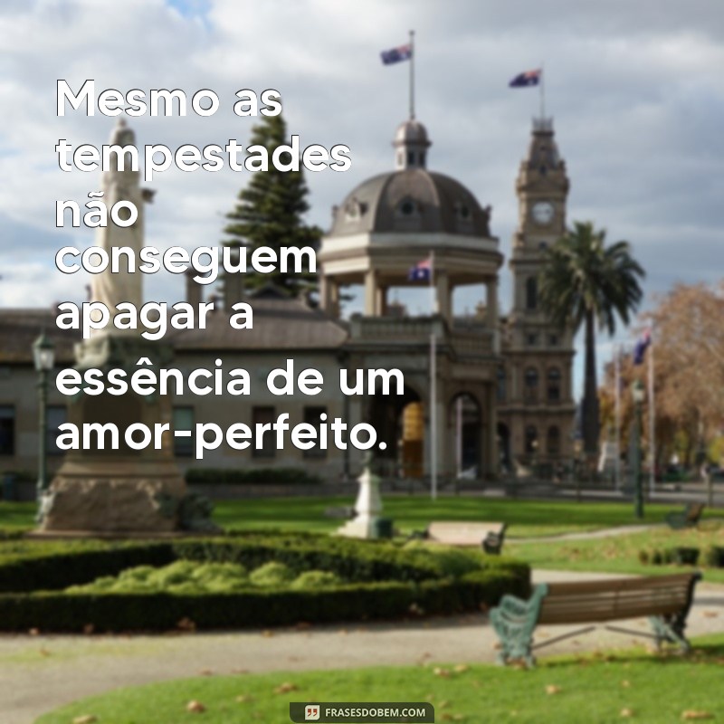 Descubra o Significado e a Beleza do Amor Perfeito: Dicas e Inspirações 