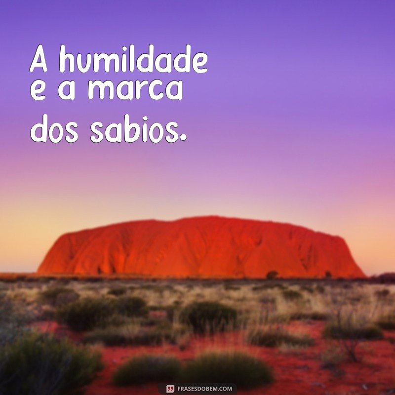 Reflexões sobre a humildade: 20 frases inspiradoras para praticar diariamente 