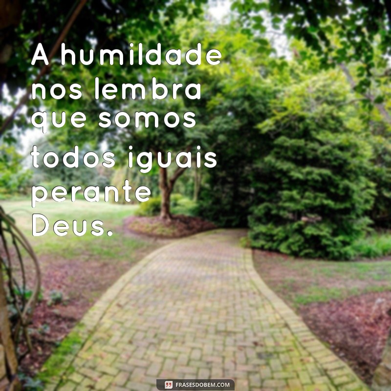 Reflexões sobre a humildade: 20 frases inspiradoras para praticar diariamente 