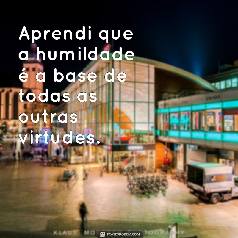 Reflexões sobre a humildade: 20 frases inspiradoras para praticar diariamente 