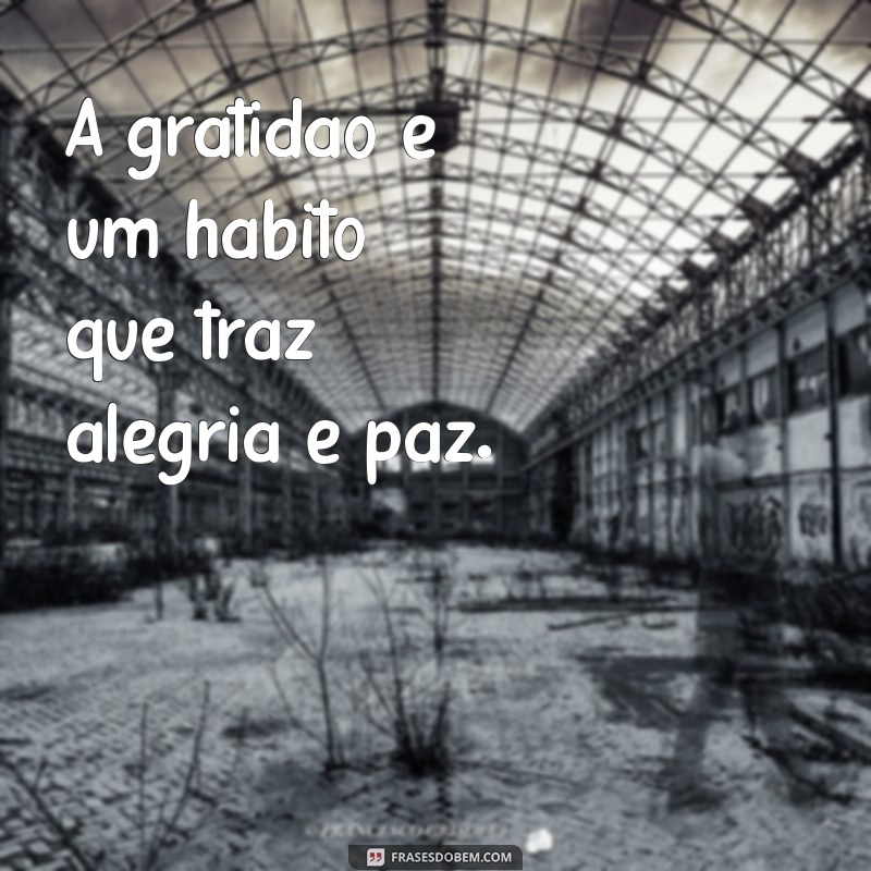 Frases de Gratidão e Motivação: Inspire-se e Transforme Seu Dia 