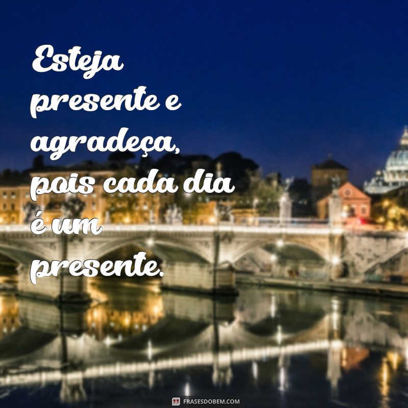 Frases de Gratidão e Motivação: Inspire-se e Transforme Seu Dia 