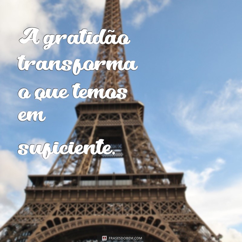 frases de gratidão e motivação A gratidão transforma o que temos em suficiente.