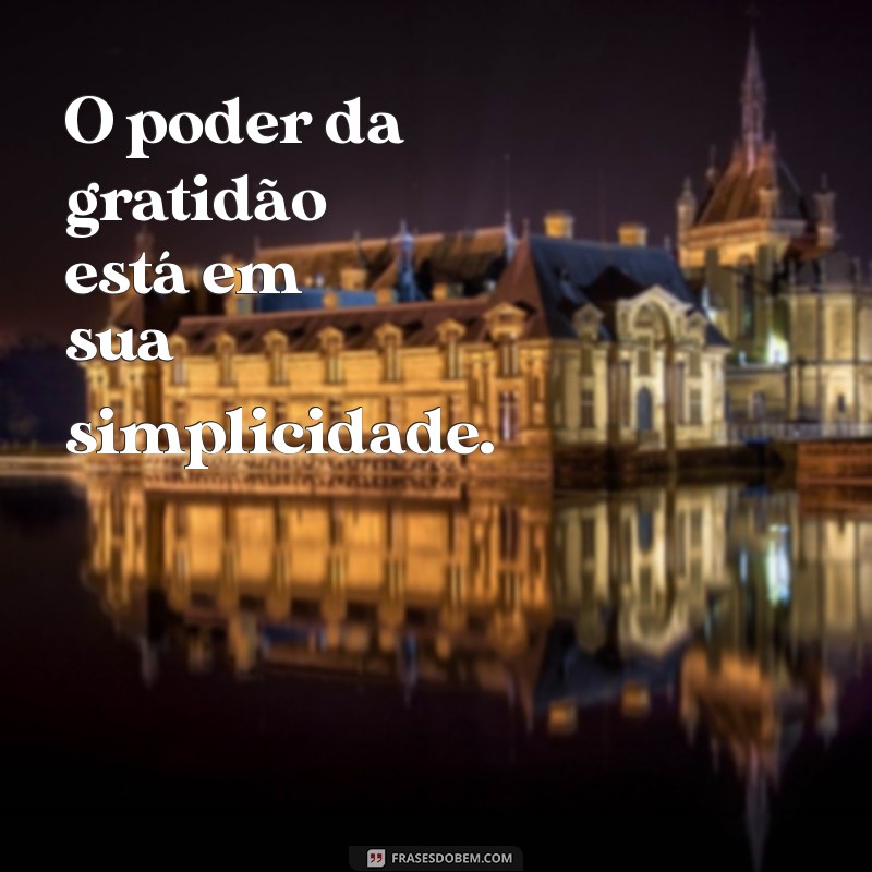 Frases de Gratidão e Motivação: Inspire-se e Transforme Seu Dia 