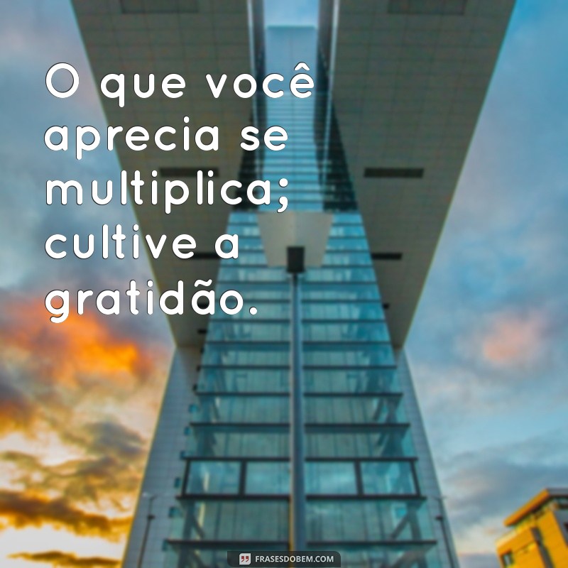 Frases de Gratidão e Motivação: Inspire-se e Transforme Seu Dia 