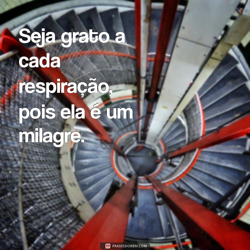 Frases de Gratidão e Motivação: Inspire-se e Transforme Seu Dia 