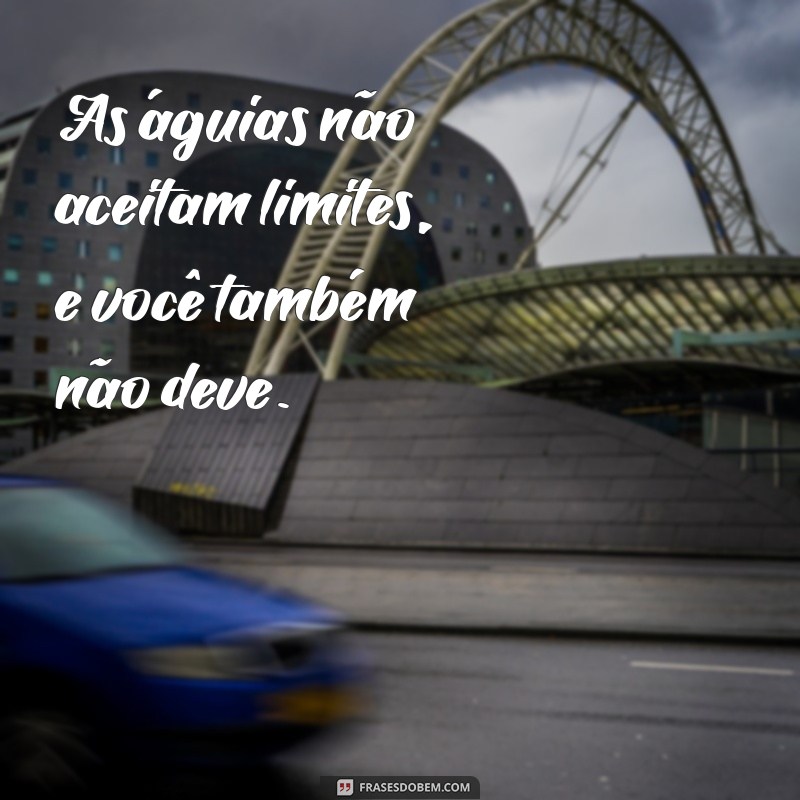 Frases Inspiradoras para Andar com Águias: Eleve sua Perspectiva 