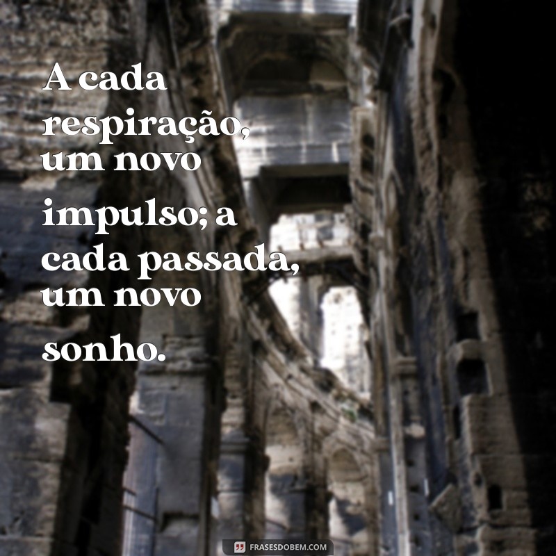 223 Frases Inspiradoras para Corredores de Rua que Aumentam sua Motivação 