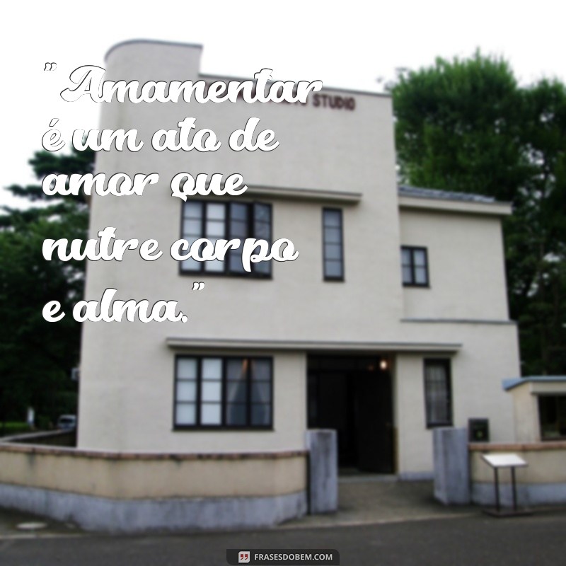 frases amamentação 