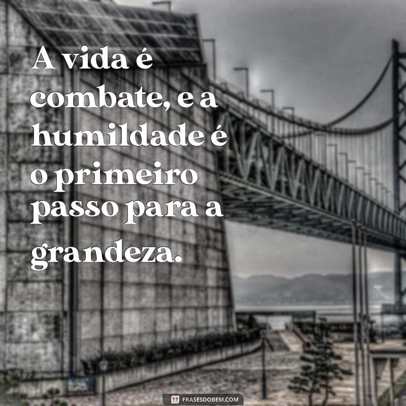 A Vida é Combate: Enfrentando Desafios e Superando Obstáculos 