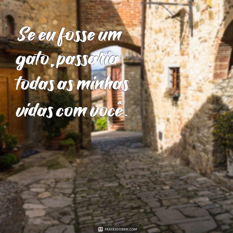 As Melhores Frases de Paquera para Conquistar o Seu Crush 