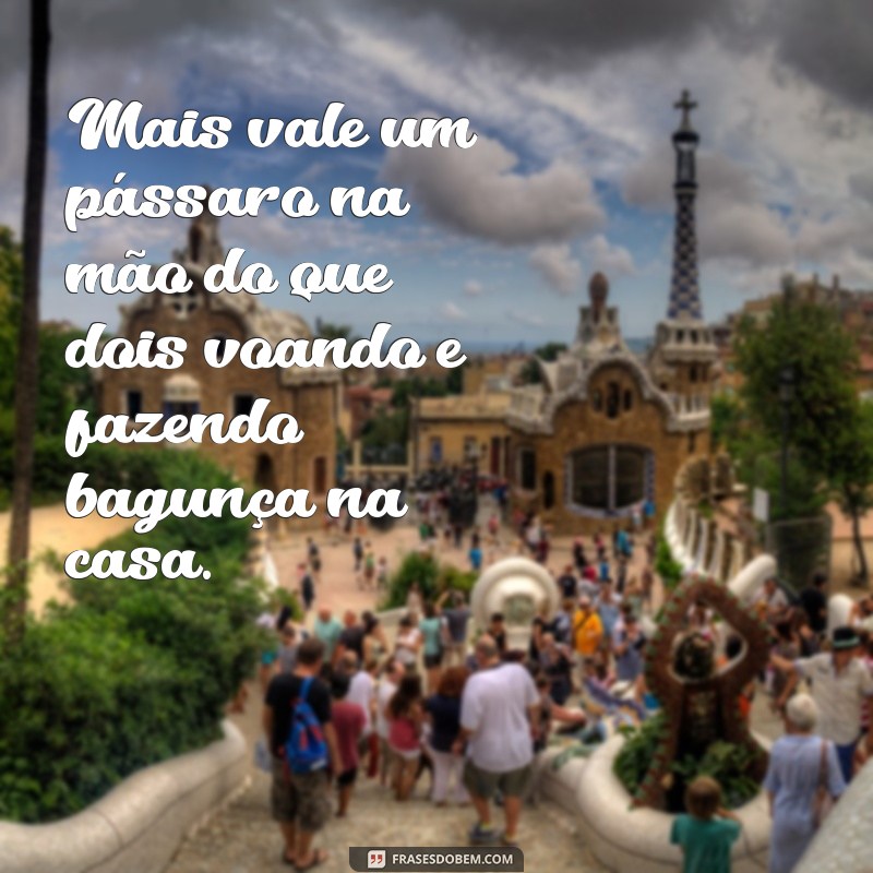 Divirta-se com as melhores frases ditados engraçados para compartilhar com amigos e familiares 