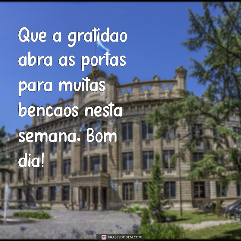 Comece a Semana com Positividade: Mensagens de Bom Dia para uma Segunda-Feira Abençoada 