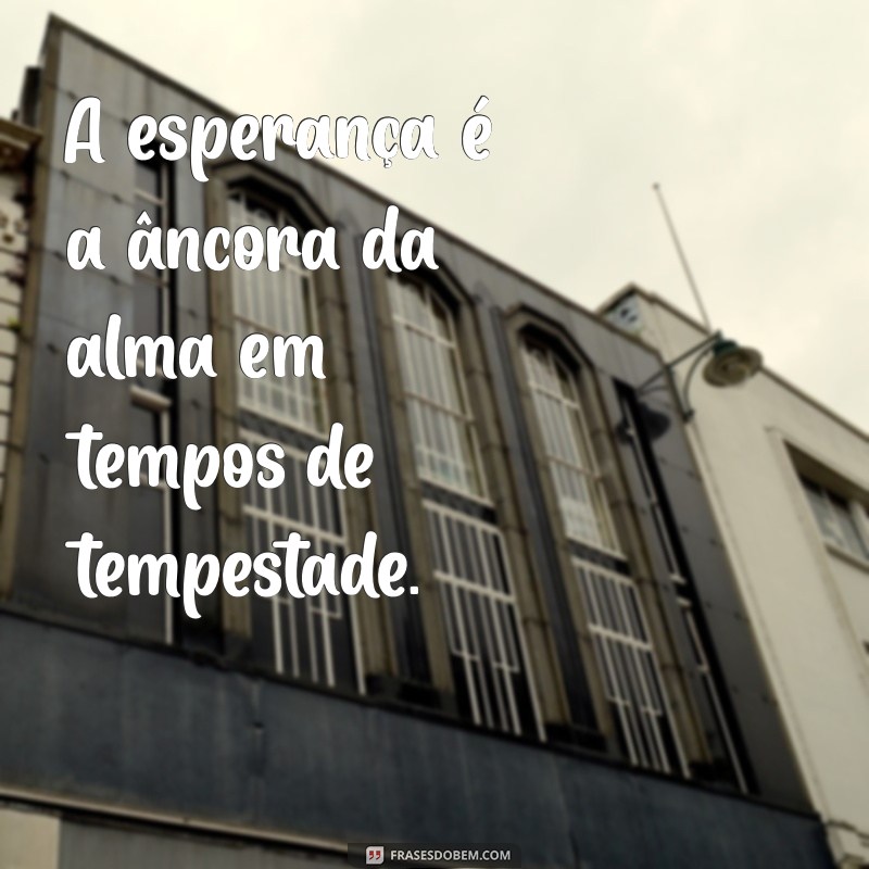 Frases Inspiradoras para Catequistas: Fortaleça sua Missão 