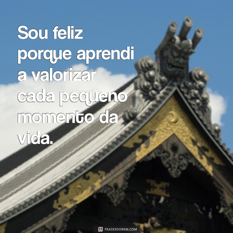 frases sou feliz Sou feliz porque aprendi a valorizar cada pequeno momento da vida.