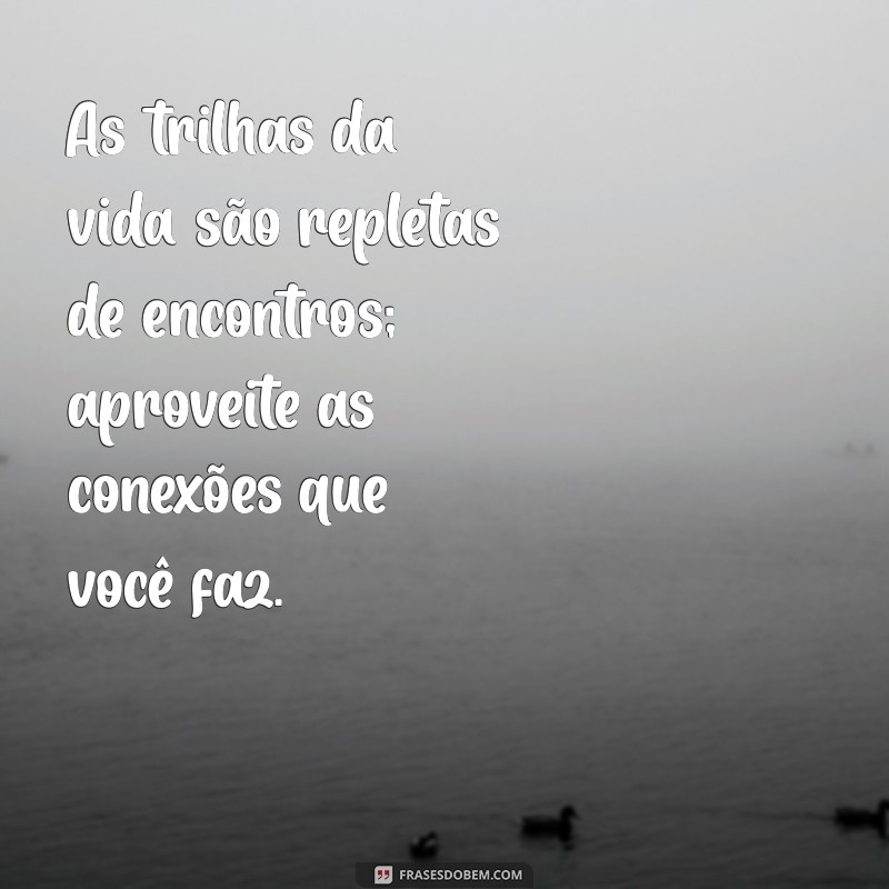 Frases Inspiradoras para Refletir sobre as Trilhas da Vida 