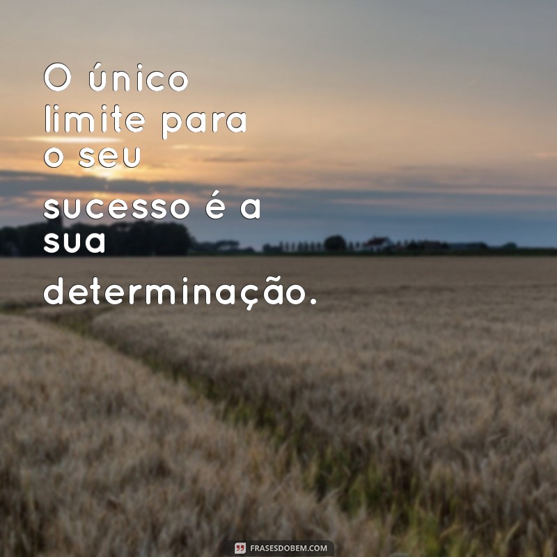 Frases Inspiradoras para Transformar sua Vida: Motivação Diária 