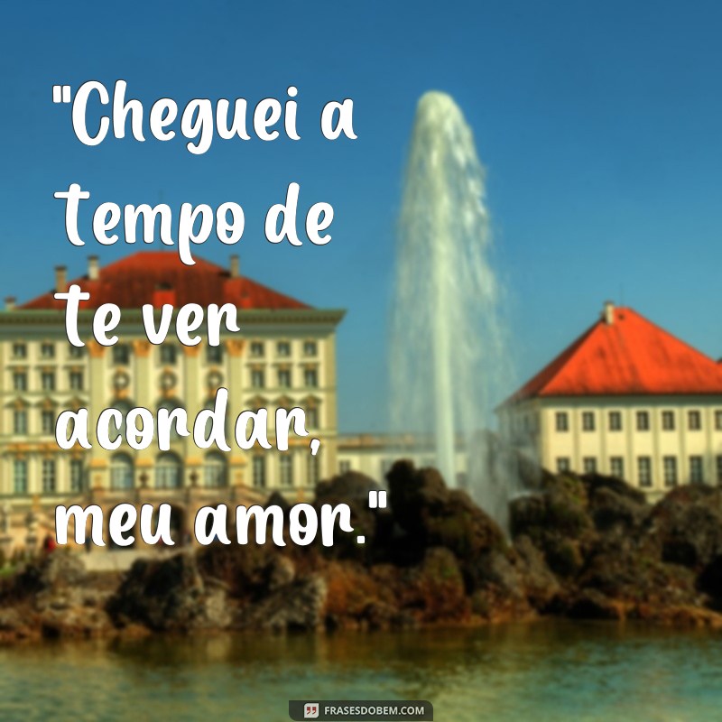 frases cheguei a tempo de te ver acordar 