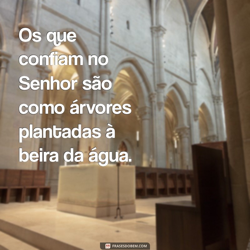 os confiam no senhor Os que confiam no Senhor são como árvores plantadas à beira da água.