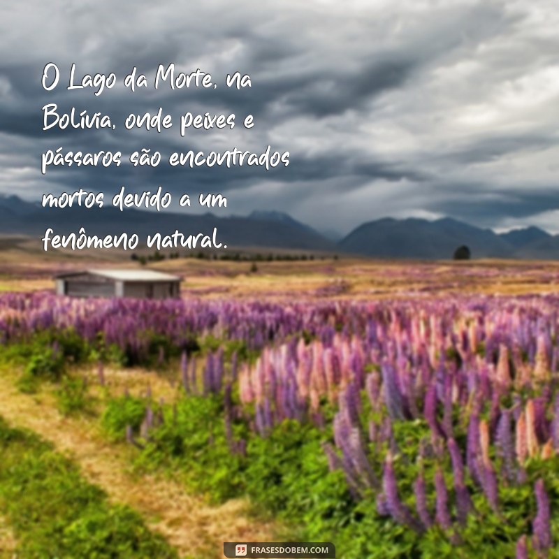 coisas mais estranhas do mundo O Lago da Morte, na Bolívia, onde peixes e pássaros são encontrados mortos devido a um fenômeno natural.