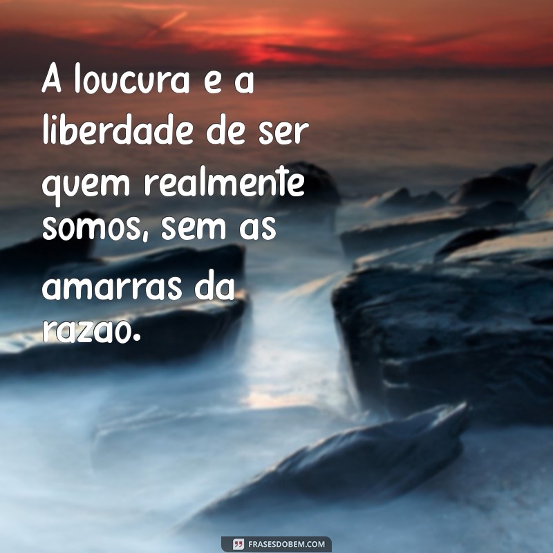 elogio da loucura A loucura é a liberdade de ser quem realmente somos, sem as amarras da razão.