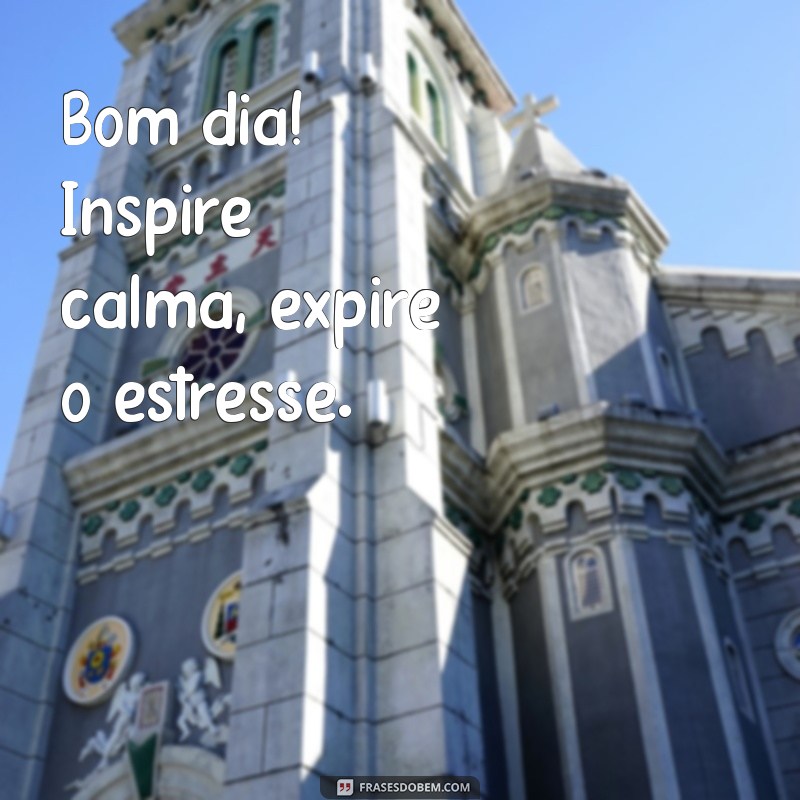 Comece Seu Dia com Paz: Frases Inspiradoras para um Bom Dia Zen 