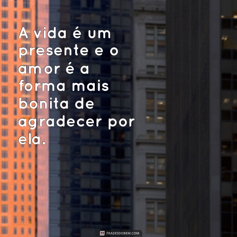 Encante-se com as mais belas frases e textos inspiradores 