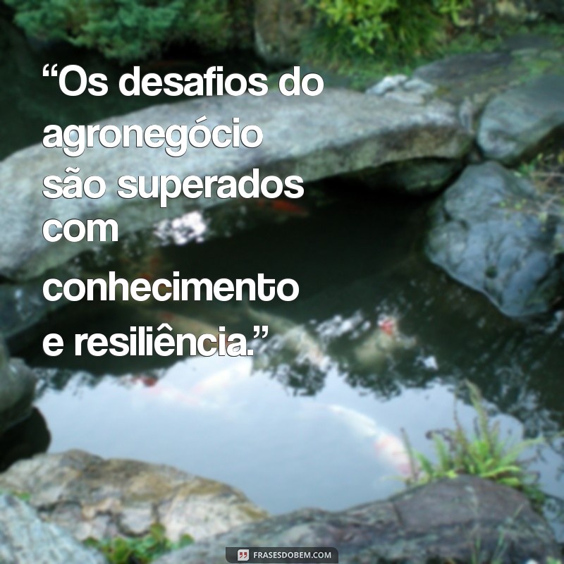 Frases Inspiradoras sobre Agronegócio: Reflexões e Motivação para o Campo 