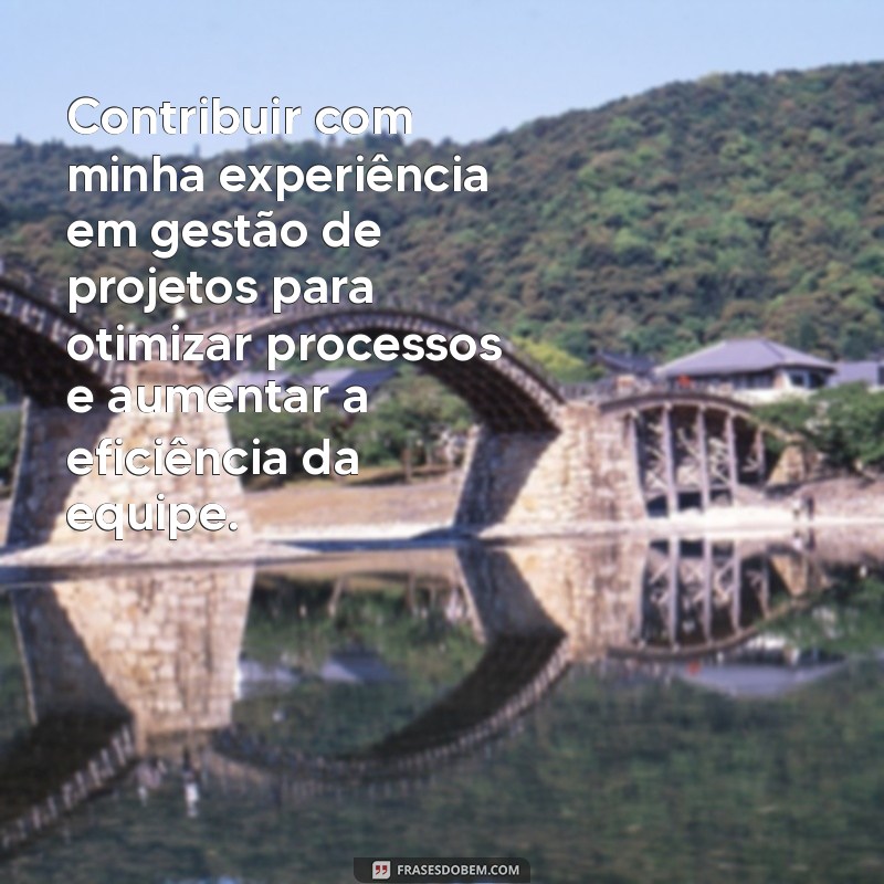 objetivo.para curriculo Contribuir com minha experiência em gestão de projetos para otimizar processos e aumentar a eficiência da equipe.