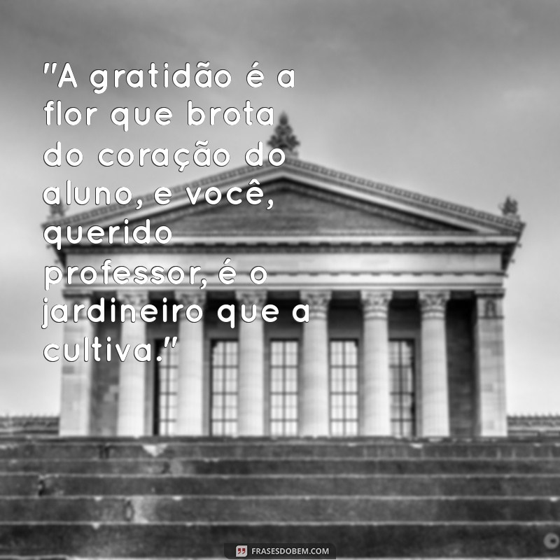 frases de gratidão ao professor 