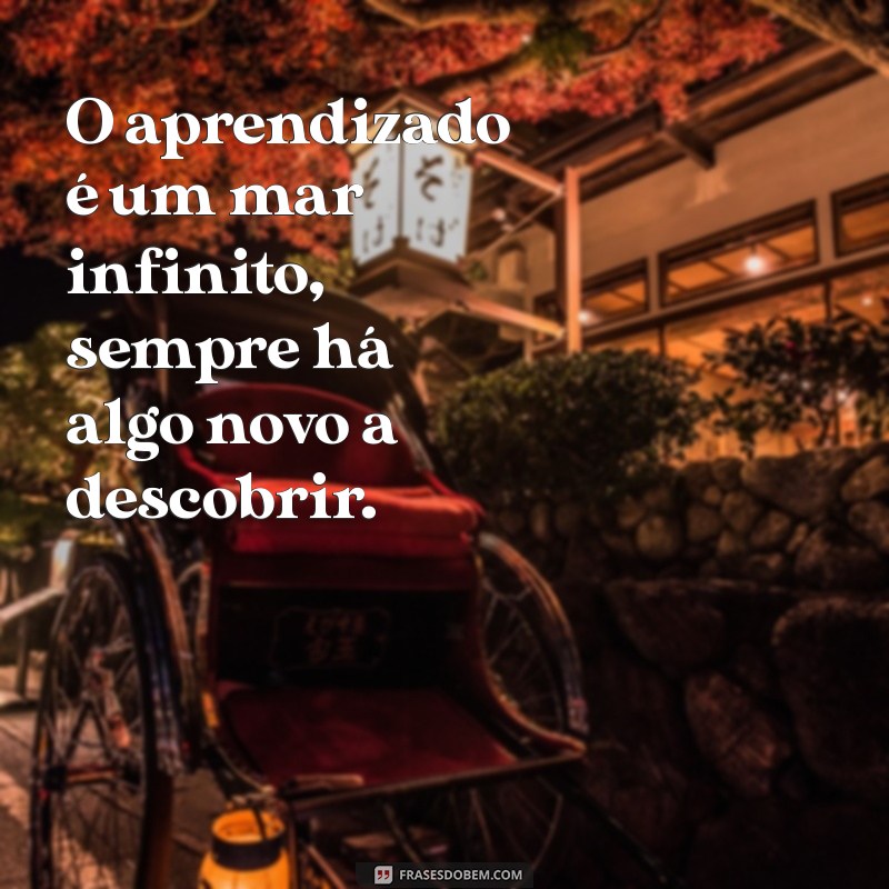 aprendizado constante frases O aprendizado é um mar infinito, sempre há algo novo a descobrir.