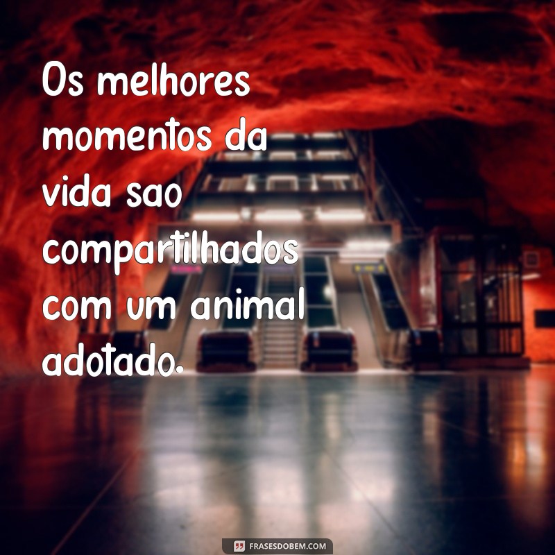 Frases Inspiradoras sobre Adoção de Animais: Espalhe Amor e Conscientização 