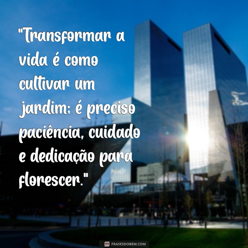 frases sobre transformação de vida 