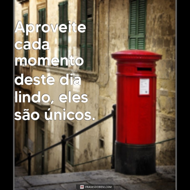 Frases Inspiradoras para Celebrar um Dia Lindo 