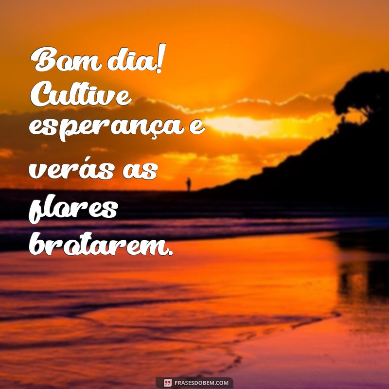 Frases Inspiradoras para Desejar um Bom Dia: Comece sua Manhã com Positividade 